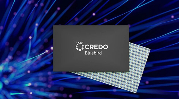 Credo发布专为低功耗、高带宽与超低时延的AI网络打造的Bluebird 1.6T光DSP芯片