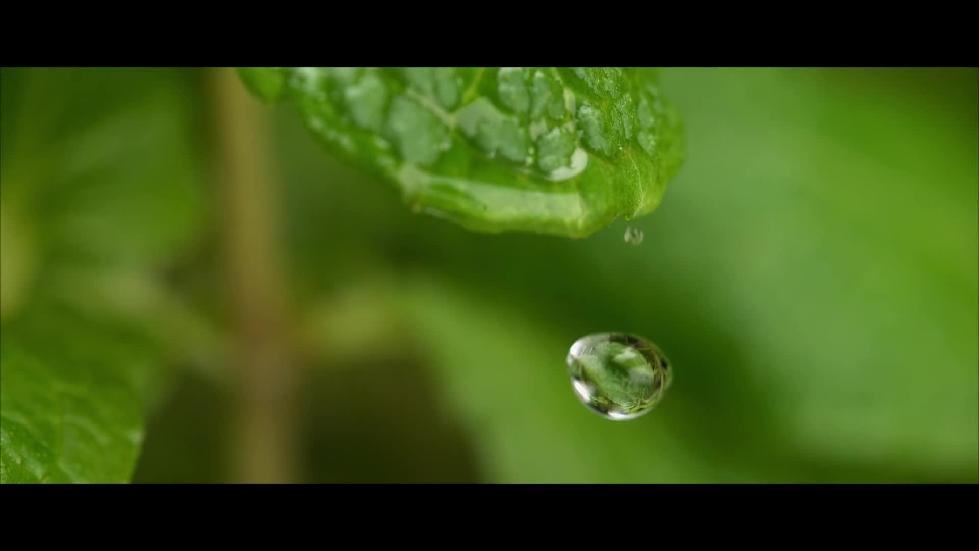 华为助力三峡集团打造华中地区最大绿色零碳数据中心集群